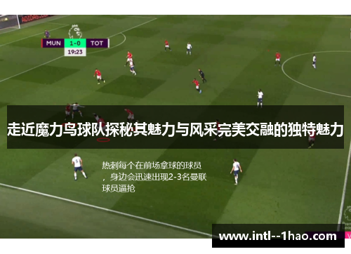 走近魔力鸟球队探秘其魅力与风采完美交融的独特魅力