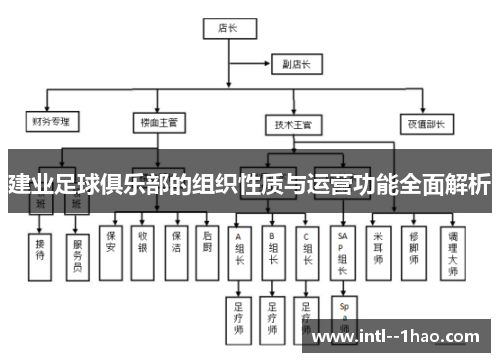 建业足球俱乐部的组织性质与运营功能全面解析