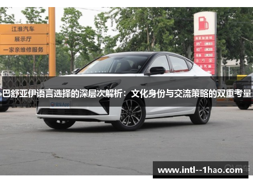 巴舒亚伊语言选择的深层次解析：文化身份与交流策略的双重考量