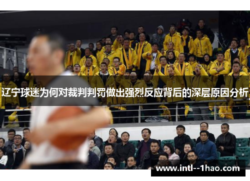 辽宁球迷为何对裁判判罚做出强烈反应背后的深层原因分析