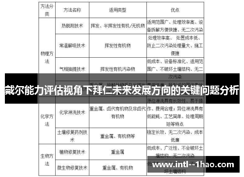 戴尔能力评估视角下拜仁未来发展方向的关键问题分析