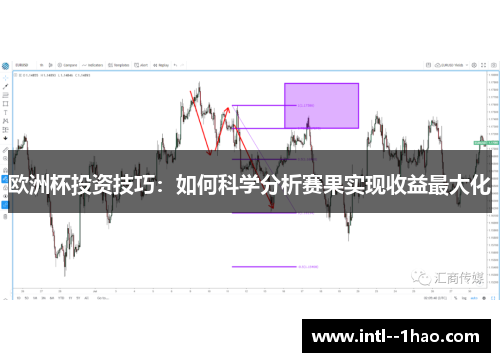 欧洲杯投资技巧：如何科学分析赛果实现收益最大化