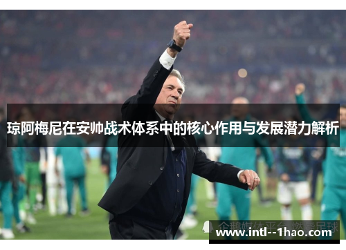 琼阿梅尼在安帅战术体系中的核心作用与发展潜力解析
