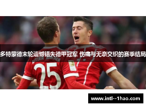 多特蒙德末轮遗憾错失德甲冠军 伤痛与无奈交织的赛季结局