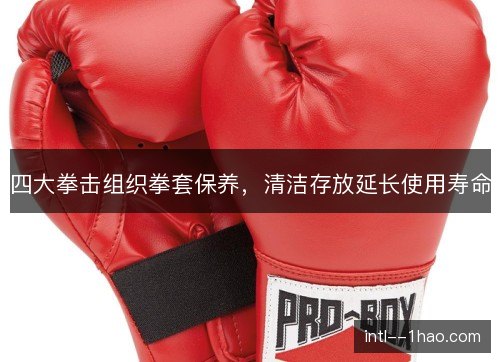 四大拳击组织拳套保养，清洁存放延长使用寿命